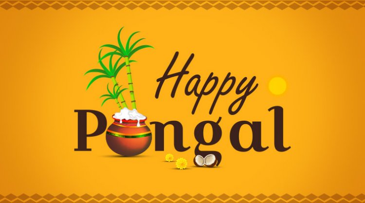 Pongal Wishes For Your Loved Ones