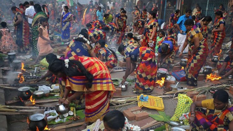 Festivity marks Pongal celebrations in TN, Puducherry