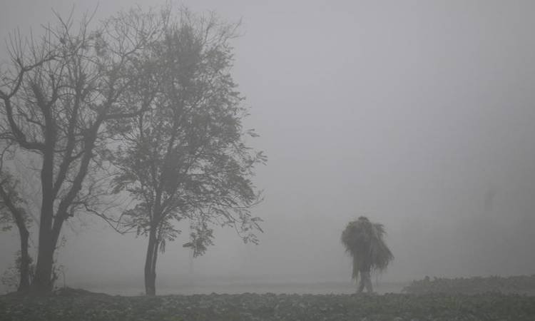Cold wave sweeps most parts of Punjab and Haryana