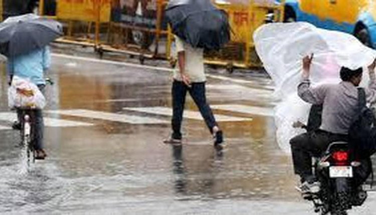 Light rain in UP, cold wave persists