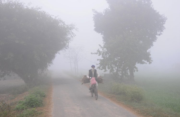 Cold wave prevails in most parts of Punjab, Haryana