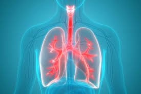 A 38 year old and 68 year old lady underwent lung transplant due to environment-related degenerative Lung Disease with no cure