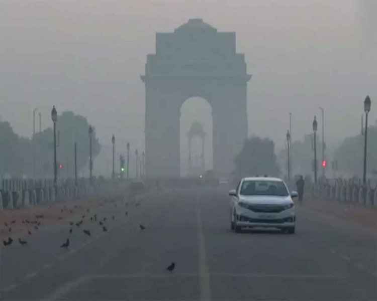 Cold winds sweep Delhi, air quality improves