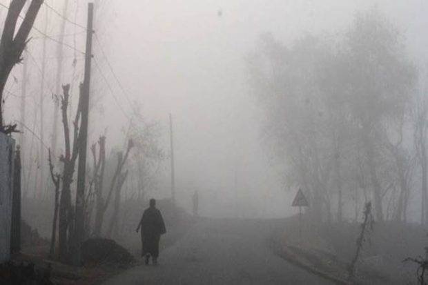 Cold weather conditions tighten grip in Pb, Haryana