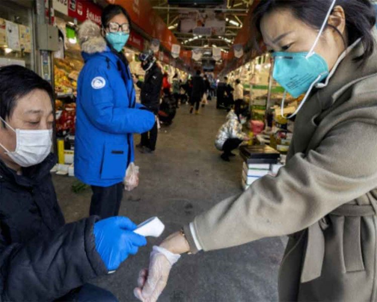 Coronavirus death toll rises to 908 in China