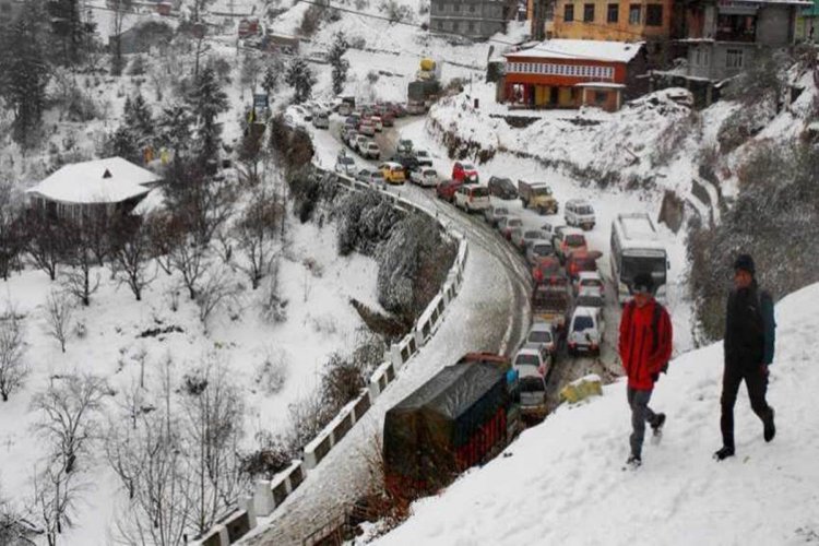 Shimla, Kufri receive fresh snowfall