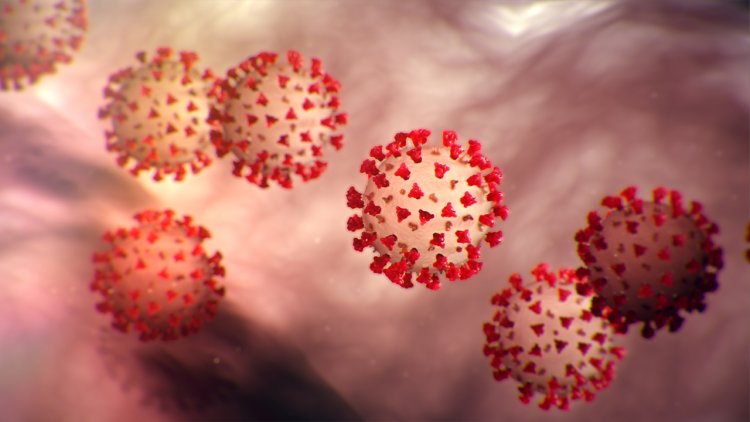 4 test positive, confirmed coronavirus cases rise to 43