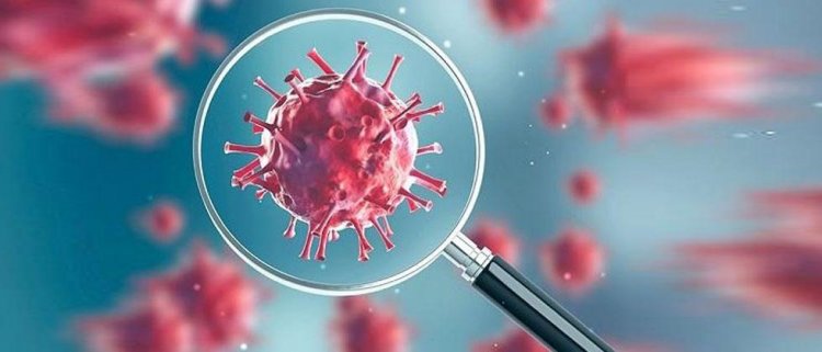 Two coronavirus cases found in Yavatmal; Maha count 22