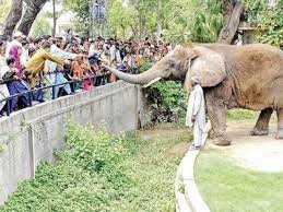 Punjab shuts zoos amid coronavirus outbreak