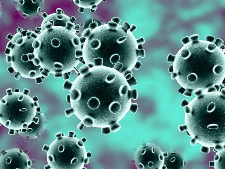 US coronavirus toll at new records
