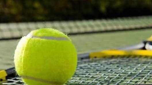 Tennis establishes virus player fund, raises $6 million