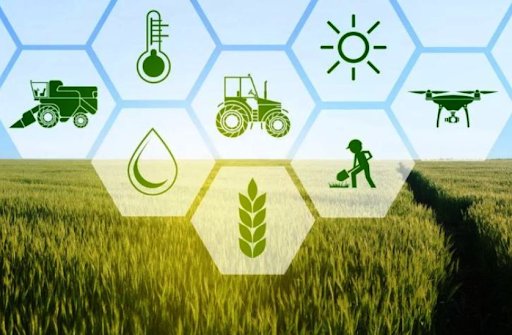 Need For Innovative Technology in Agriculture