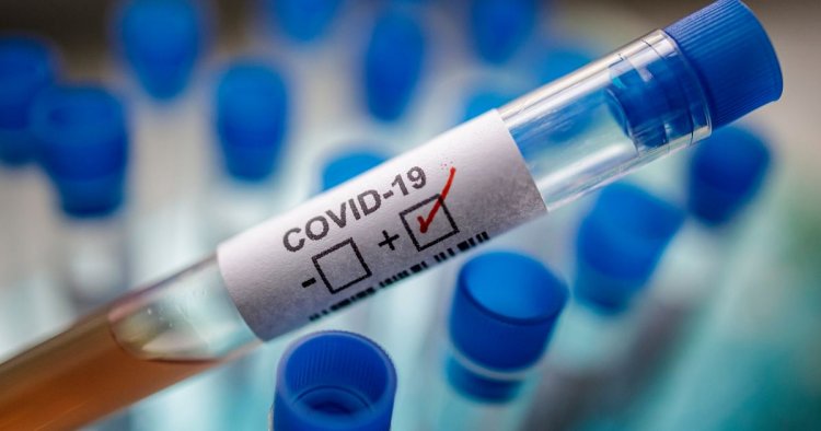 Four elderly patients recover from COVID-19 in MP