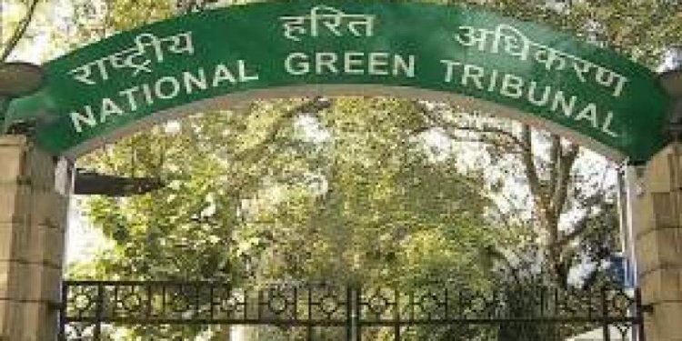 NGT refuses plea for implementation of Centre's contingency plan to control locust attack