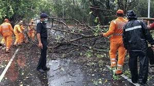 Cyclone 'Nisarga': Trees, poles uproted near Alibaug