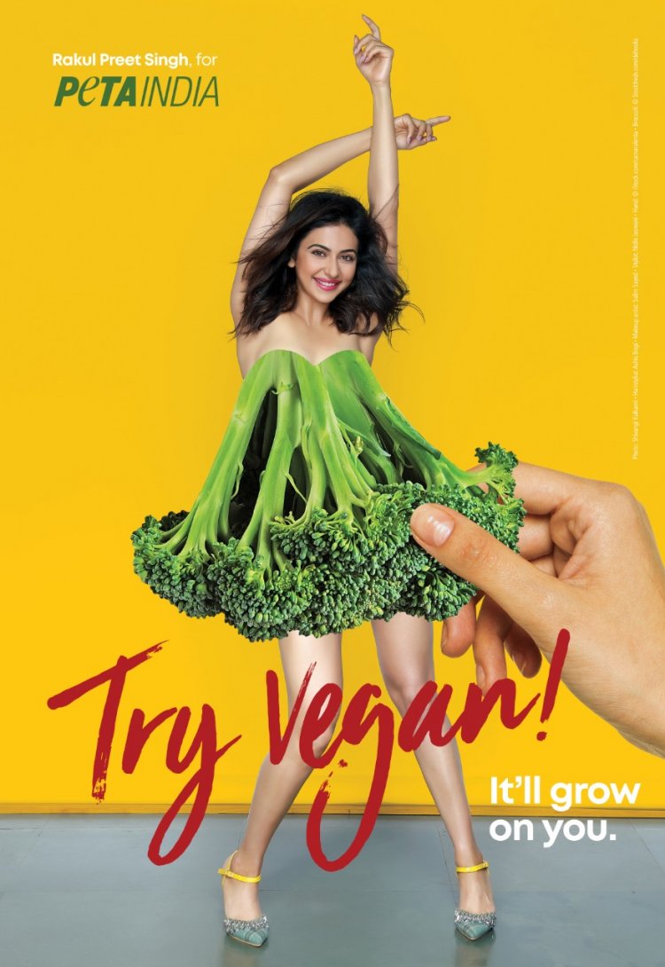 Rakul Preet Singh Appears In World Environment Day Ad: 'Try Vegan'
