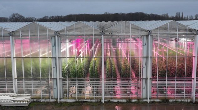 Fluence Launches New Modules of LED VYPR Top Light Series with Innovated PhysioSpec™ Spectra for Greenhouse Cultivators