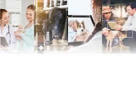 WI Animal Health UK Launches New Technology-Enabled Solutions to Support Veterinary Clinic’s Virtual Healthcare Needs