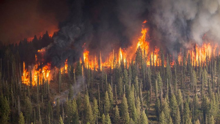 Wildfires in Russia at Its Peak