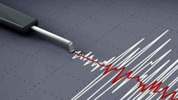 Earthquake of 4.8 magnitude hits Rajkot, no casualty