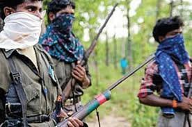 Combing operations on to flush out Maoists:Telangana DGP