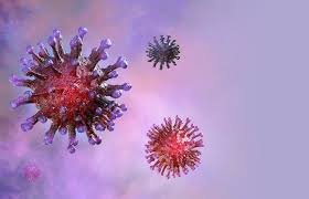 Artificial Cells Produce Parts of Viruses for Safe Studies