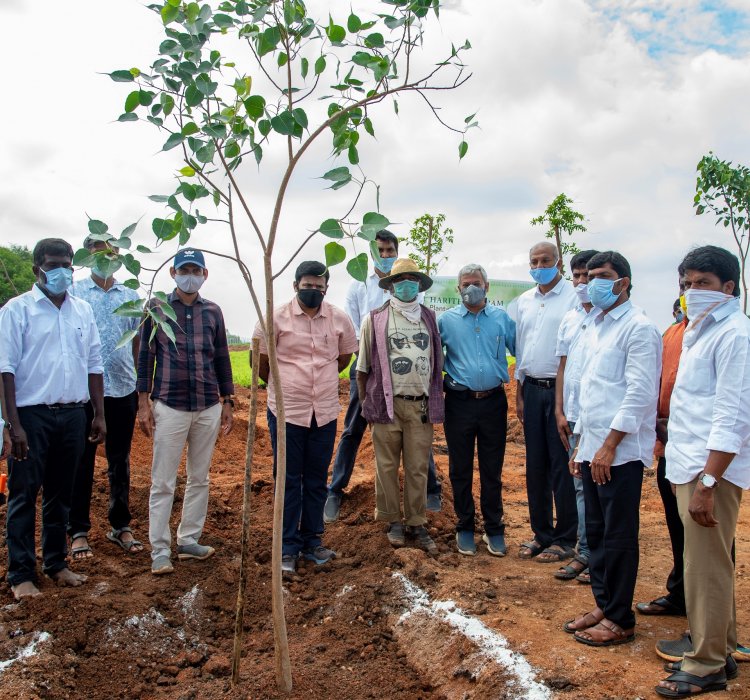 Heartfulness Institute Plants 30000 Trees Over Last Two Weeks  As It’s Commitment Towards Haritha Haram