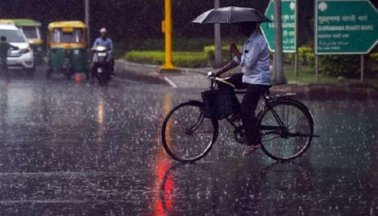 Rains bring relief from sultry weather in Delhi