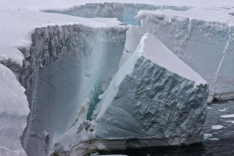 Canada’s Last Fully Intact Ice Shelf Collapsed
