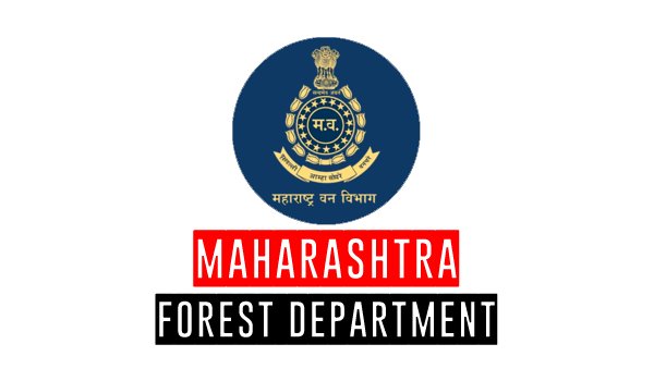 Maha forest dept suggests treatment centers for animals