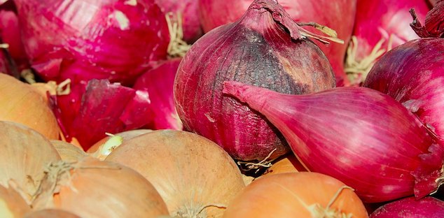 Onion Led Salmonella Infections Are On The Rise In US and Canada