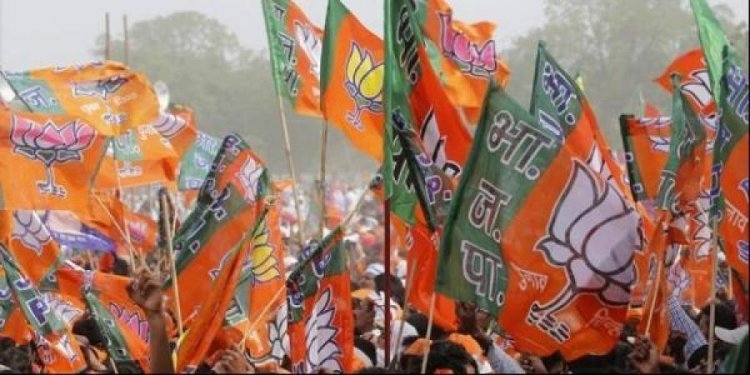 BJP's Nishad files nomination for RS bypolls in UP