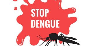 Timely preventive measures with natural remedies is the way to combat Dengue in monsoon
