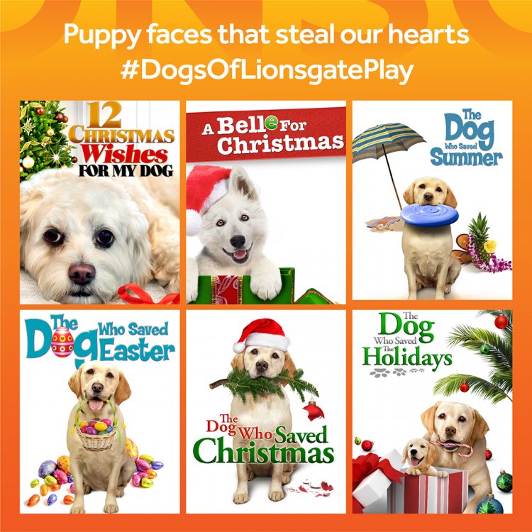 Celebrating International Dog Day, Lionsgate Play launches #DogsofLionsgatePlay campaign