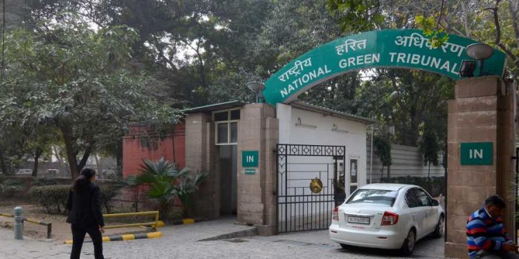 No encroachment in Mayapuri green belt: DDA to NGT