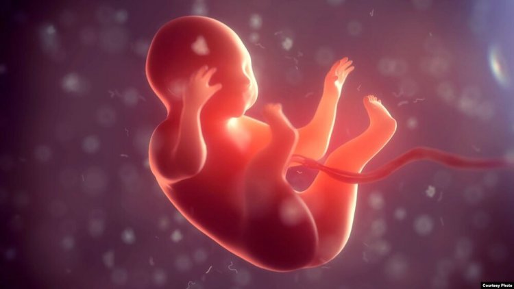 Understanding Genetic Disorders and Fertility