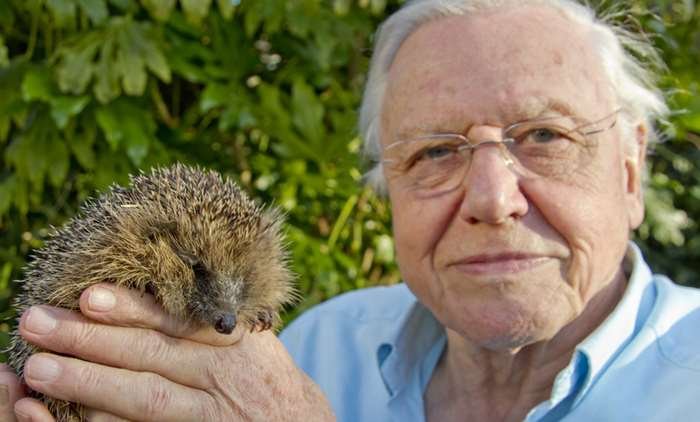 David Attenborough Warns About The Extinction Of Species