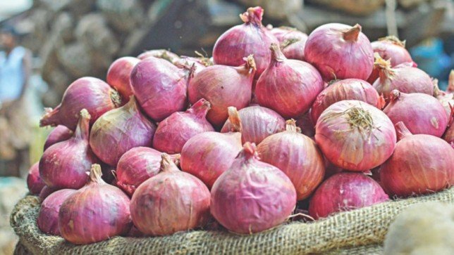 Maharashtra Congress to protest against govt's onion export ban tomorrow