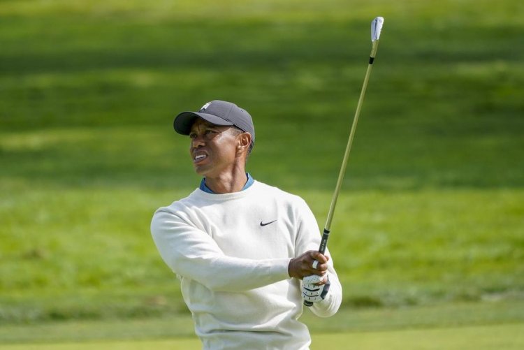 Woods, Mickelson, defending champ Woodland miss US Open cut