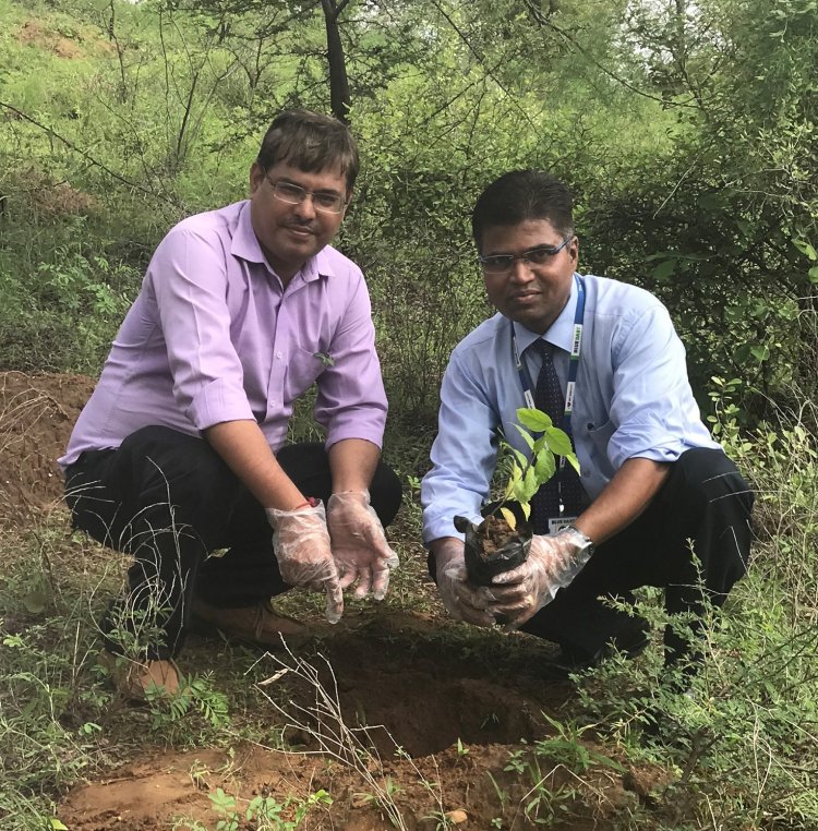 Blue Dart plants 1,11,000 trees in the Kanha-Pench Wildlife corridor in 2020