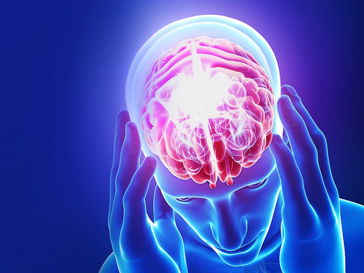 Understanding Brain Damage