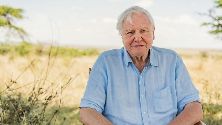 David Attenborough Calls For an $500 Billion Investment A Year to Save the Planet