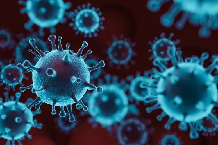 COVID-19: 67,735 new cases take India's virus tally to 73,07,097