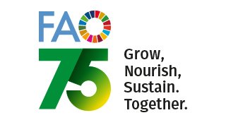 World Food Day 2020: Grow, nourish, sustain. Together.