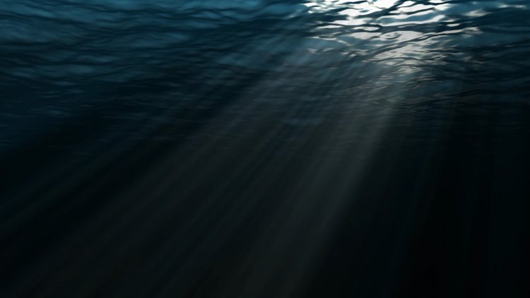 The Deepest Parts Of The Ocean Are Getting Warmed Up