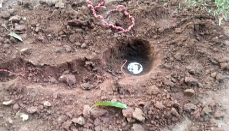 7 IEDs planted by Maoists defused in Odisha: BSF