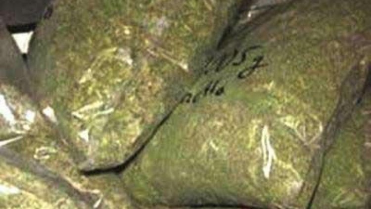 RPF seize 34.5 kg cannabis, rescue minor girl