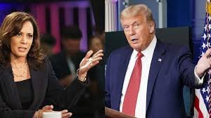 US presidential elections: Kamala Harris calls President Trump a 'racist'