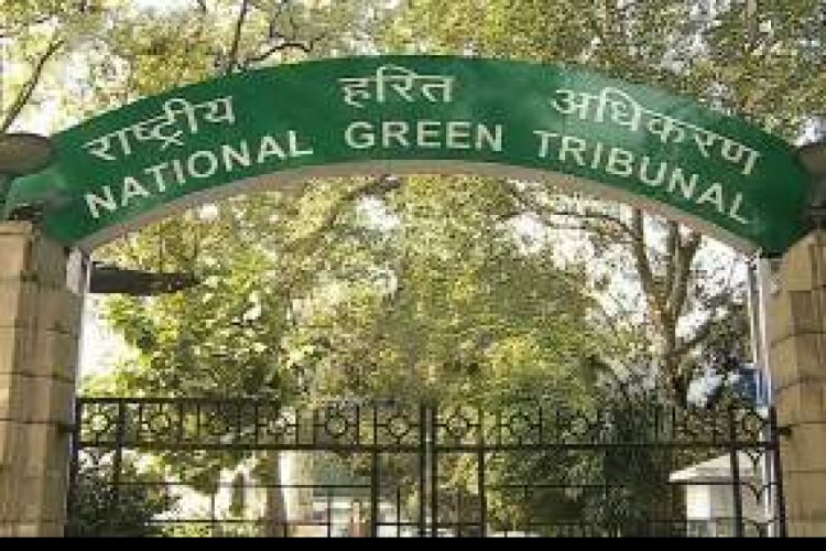 NGT slams Centre over inadequate measures to prevent wastage of groundwater