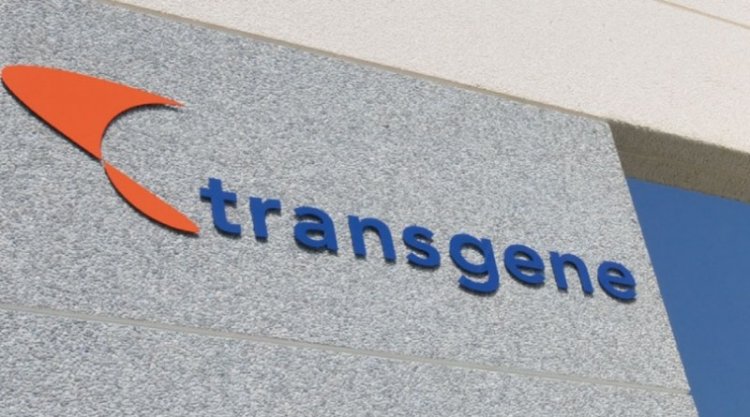Transgene Announces Detailed Results From Clinical Study of TG4001 in Combination With Avelumab in Advanced HPV-positive Cancers
